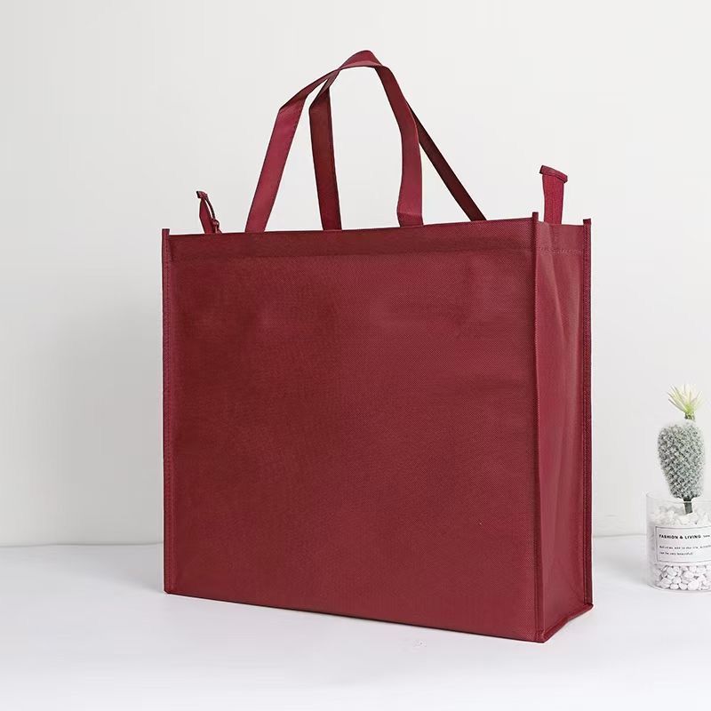 Pack of 10 Non-Woven Fabric Carry Bags with Zipper H32*38*15cm ( 5 ...