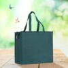 Pack of 10 Non-Woven Fabric Carry Bags with Zipper H32*38*15cm ( 5 Color Available ) - Green #